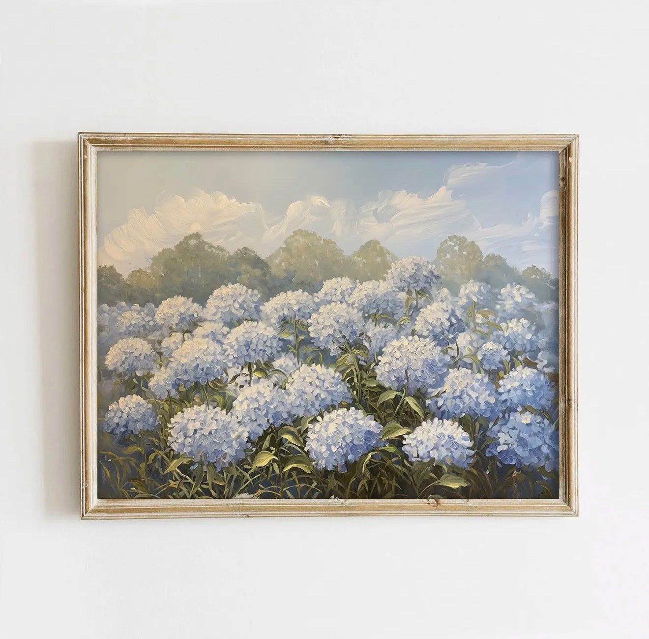 Blue Hydrangea Field