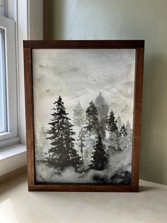 Evergreen Forest