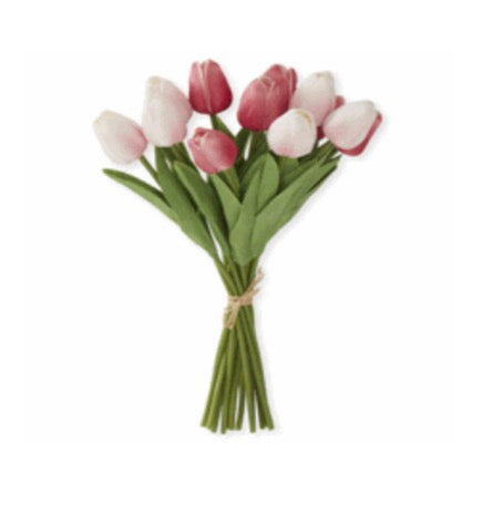 Pink/Rose Mini Tulip Bundle
