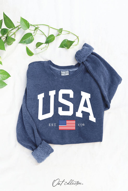 USA Est. 1776 Mineral Graphic Sweatshirt