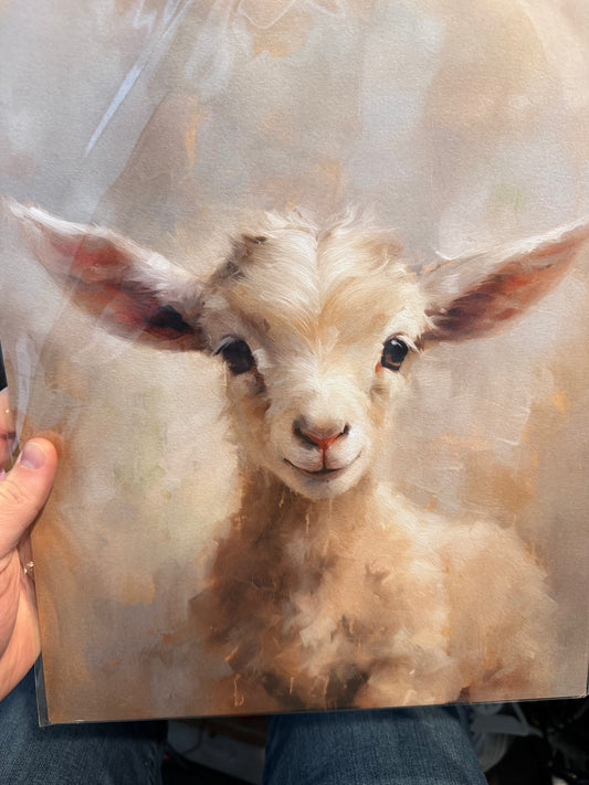 White Lamb on Beige