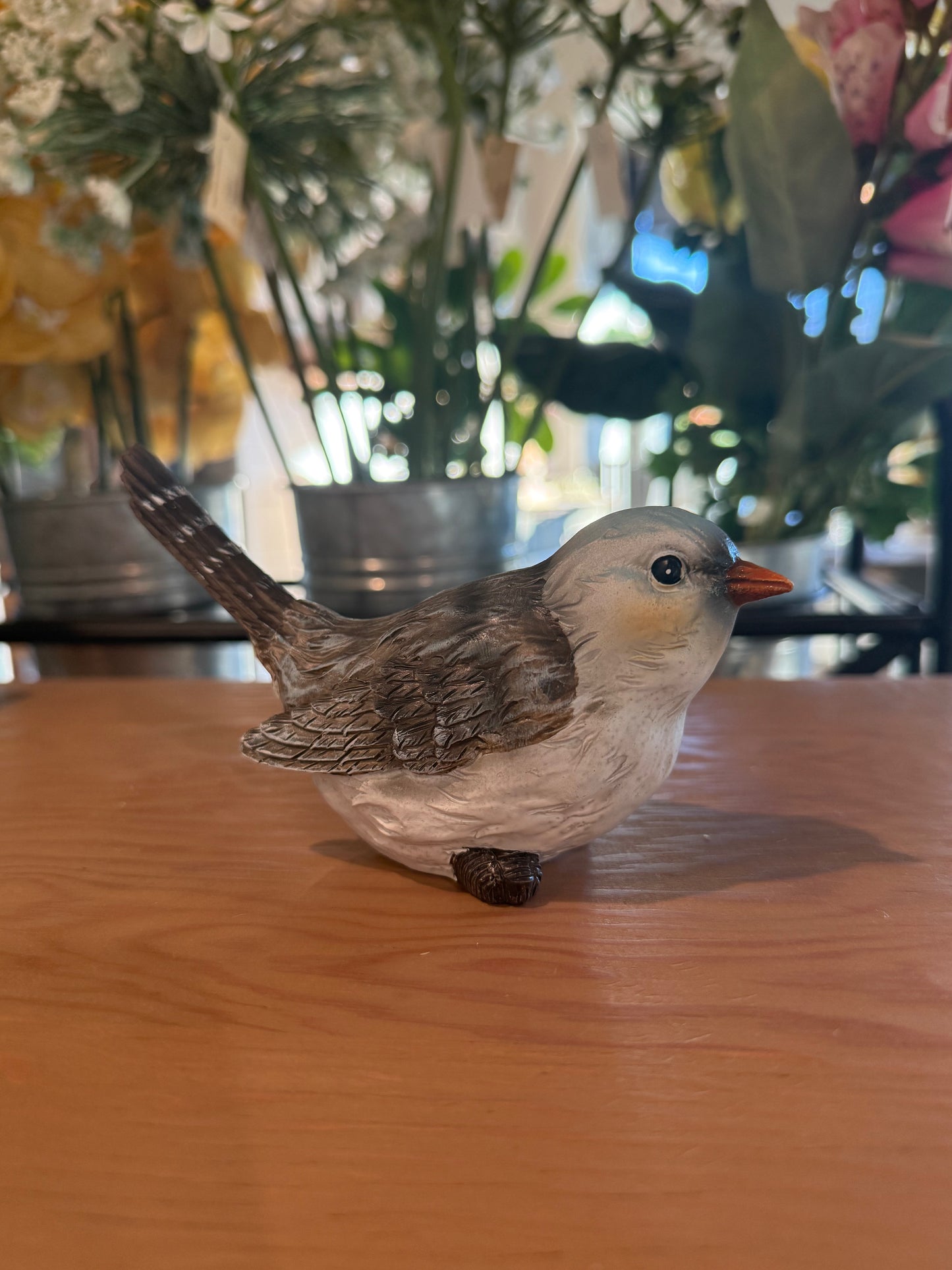 Realistic Garden Bird